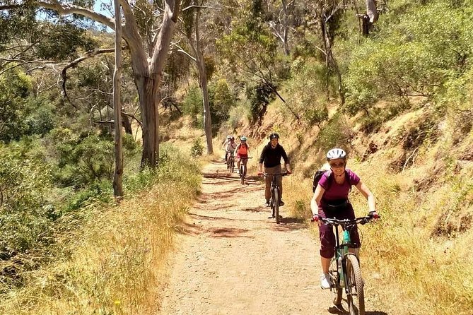 Mount Lofty Descent Bike Tour From Adelaide - thumb 3