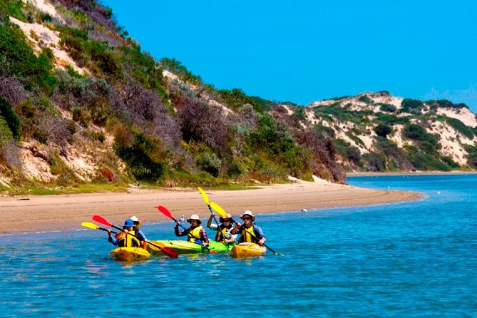 Half-Day Kayaking Tour in Coorong National Park - Port Augusta Accommodation