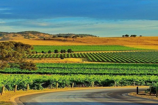Barossa Private Group 1-13 Tour To Barossa Valley Or McLaren Vale From Adelaide - thumb 37