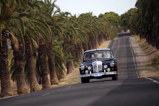 Private Barossa Valley Winery Tour By Classic 1962 Daimler From The Barossa Valley - thumb 0