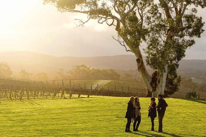 Full-Day Hahndorf And Adelaide Hills Hop-On Hop-Off Tour From Adelaide - thumb 4