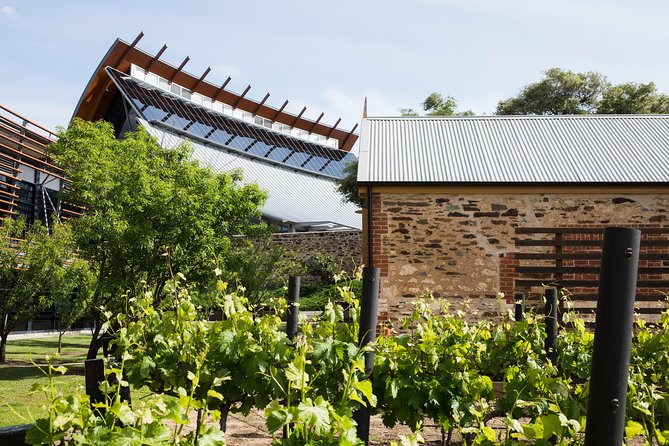 Australian Wine Discovery Tour With Tastings - thumb 6