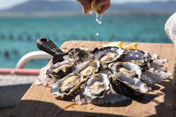 Experience Coffin Bay Short And Sweet Oyster Farm Tour - thumb 0