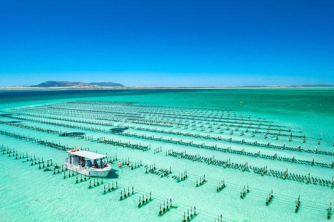 Experience Coffin Bay Short And Sweet Oyster Farm Tour - thumb 5