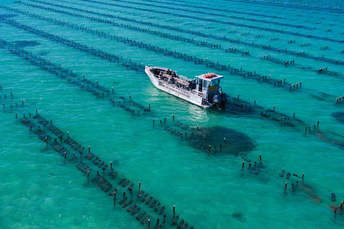 Experience Coffin Bay Short And Sweet Oyster Farm Tour - thumb 7