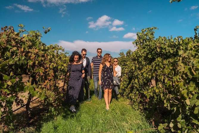 Barossa Valley Private Tour (from 2 To 11 People) - thumb 1