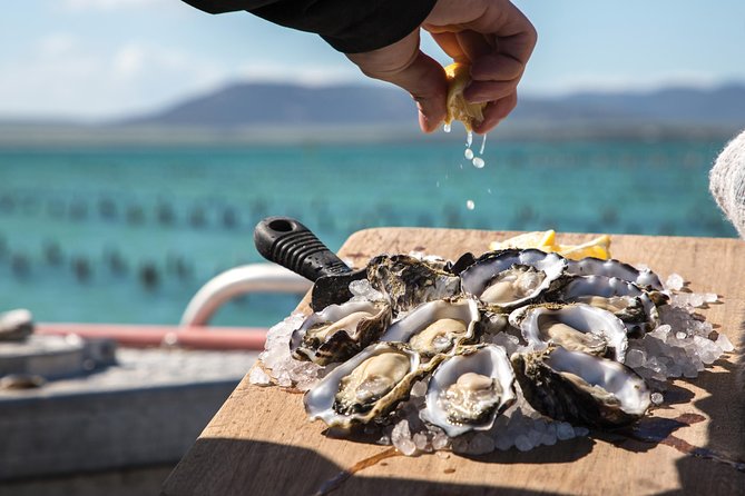 Experience Coffin Bay Oyster Farm And Bay Tour - thumb 0