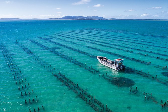 Experience Coffin Bay Oyster Farm And Bay Tour - thumb 1