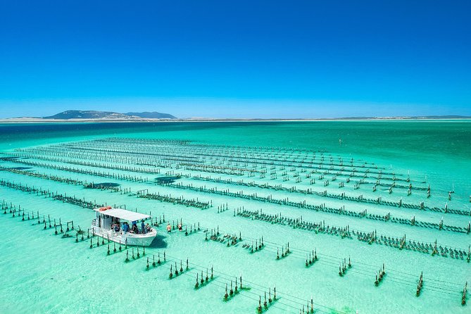 Experience Coffin Bay Oyster Farm And Bay Tour - thumb 7
