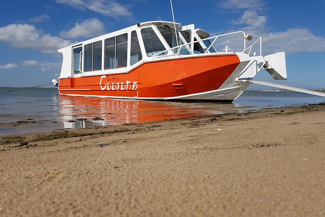 Coorong Highlights Cruise - Port Augusta Accommodation