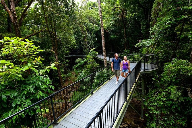 5-Day Best Of Cairns With Daintree, Kuranda, And Great Barrier Reef - thumb 4