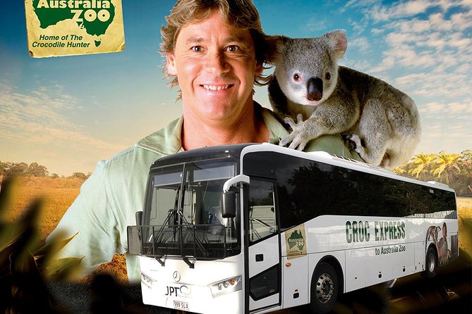 Croc Express To Australia Zoo From Brisbane - thumb 6