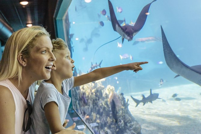 Gold Coast Theme Park Pass: Warner Bros. Movie World, Sea World And Wet'n'Wild - thumb 1