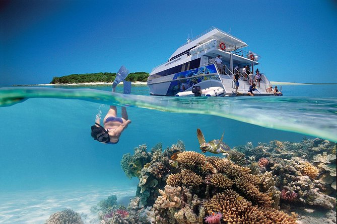 3-Day Southern Great Barrier Reef Tour Including Lady Musgrave Island - Accommodation Mooloolaba