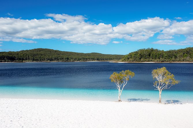 3-Day Fraser Island Resort Package - thumb 9