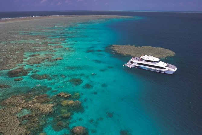 Silversonic Outer Great Barrier Reef Dive and Snorkel Cruise from Port Douglas - Accommodation Whitsundays