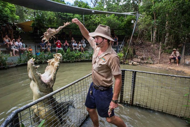 Full-Day Tour With Kuranda Scenic Railway, Skyrail Rainforest Cableway, And Hartley's Crocodile Adventures From Cairns - thumb 1
