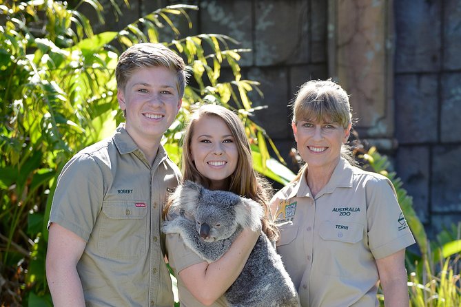 Koala Cuddle Adventure Croc 2 - Bundaberg Accommodation