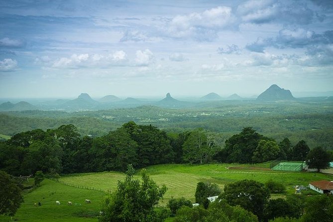 Sunshine Coast Hinterland And Noosa Day Trip From Brisbane Including Eumundi Markets And Ginger Factory - thumb 1