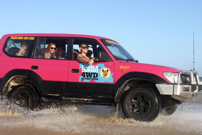 2-Day Fraser Island 4WD Tag-Along Tour at Beach House from Hervey Bay - Accommodation Yamba