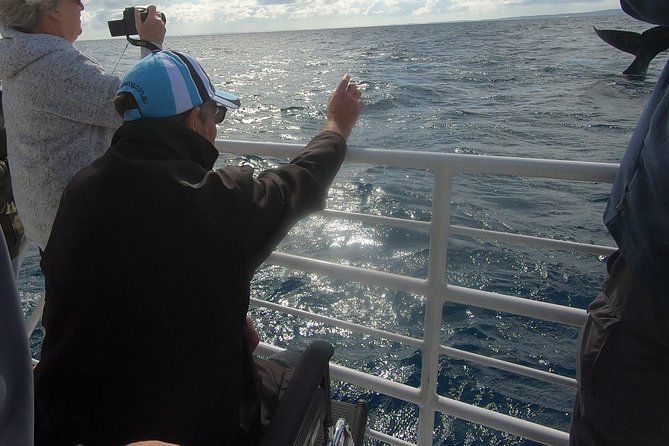Hervey Bay Whale Watching Experience - thumb 13