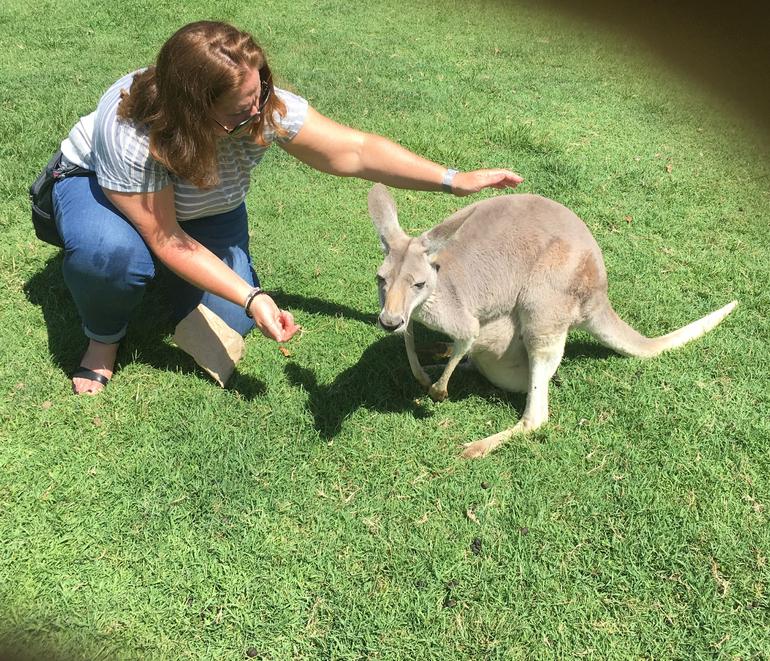 Lone Pine Koala Sanctuary Admission With Brisbane River Cruise - thumb 13