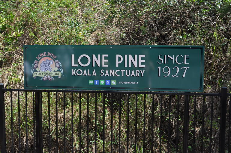 Lone Pine Koala Sanctuary Admission With Brisbane River Cruise - thumb 7