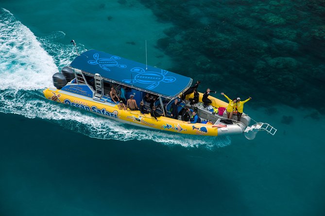 Ocean Safari Great Barrier Reef Experience In Cape Tribulation - thumb 1