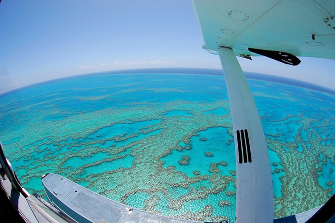 Best of the Whitsundays Seaplane Tour Including Whitehaven Beach Landing - Palm Beach Accommodation