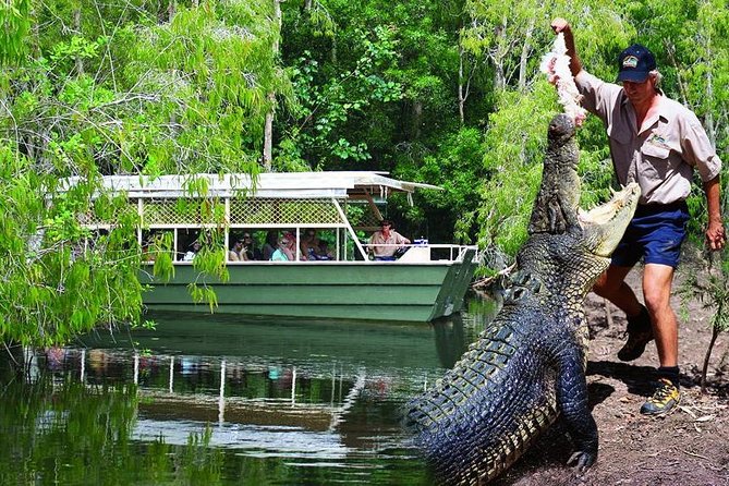 Crocs, Creatures And Culture Tour Ex Cairns - thumb 1