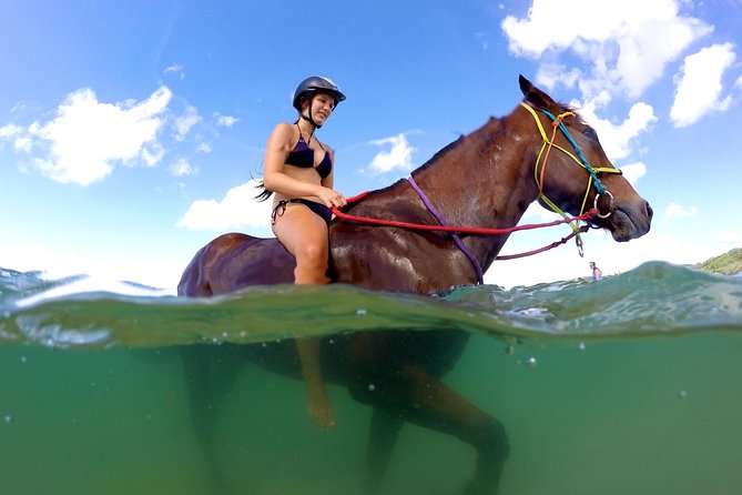 Horse Swimming Ride From Rainbow Beach - thumb 1