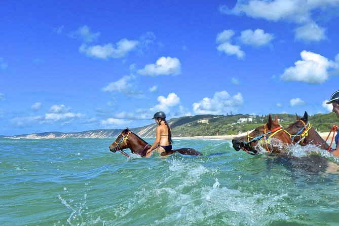 Horse Swimming Ride from Rainbow Beach - Accommodation Mount Tamborine