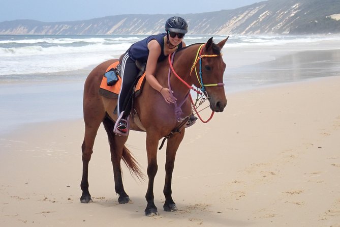 Rainbow Beach Horse Ride - thumb 2