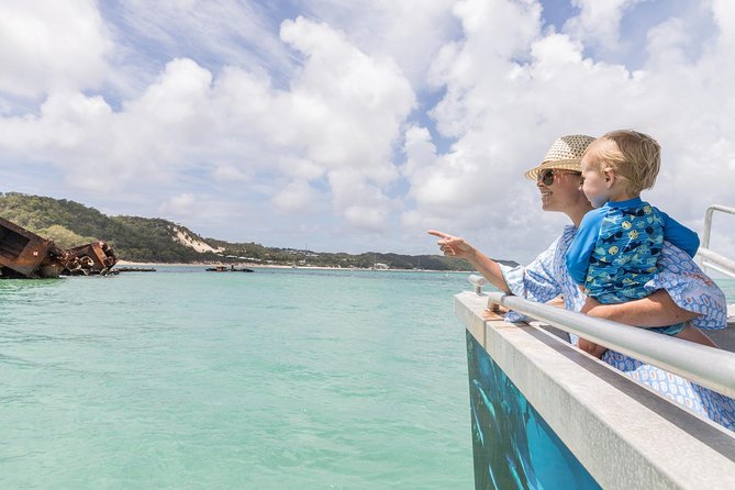 Dolphin Viewing Day Cruise To Tangalooma Island Resort On Moreton Island - thumb 7