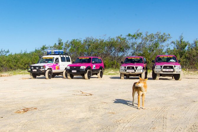 3 Day 4wd Tagalong Tour - Fraser Island - Nambucca Heads Accommodation