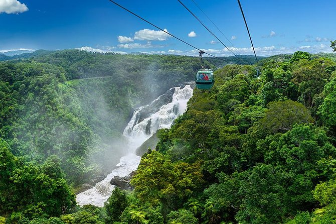 Skyrail Rainforest Cableway Day Trip From Port Douglas - thumb 0