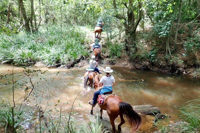 Country Day Ride From Mt Goomboorian With Rainbow Beach Horse Rides - thumb 1