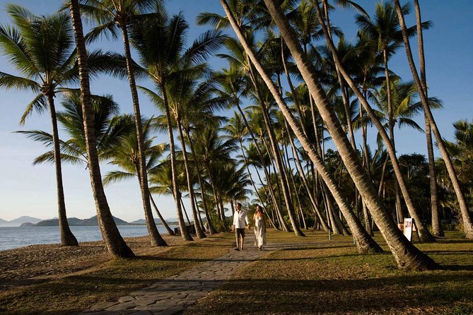 Port Douglas Round-Trip Transfer From Cairns With Free Time In Port Douglas - thumb 0