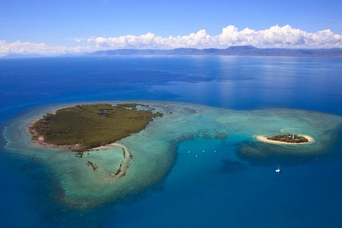 Half Day Low Isles Snorkelling Tour From Port Douglas - thumb 4