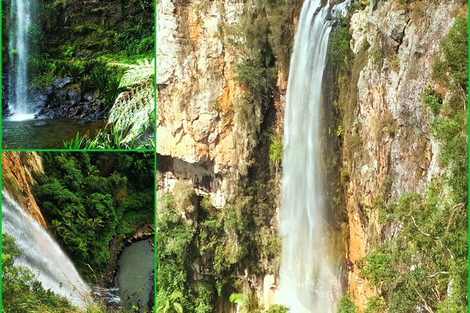 Rainforest & Waterfalls Extravaganza - thumb 0