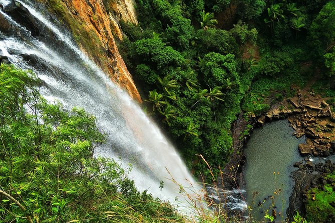 Rainforest & Waterfalls Extravaganza - thumb 2