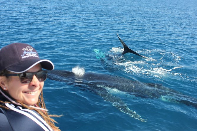 Three-Quarter Day Hervey Bay Premium Whale Watching Cruise - thumb 13