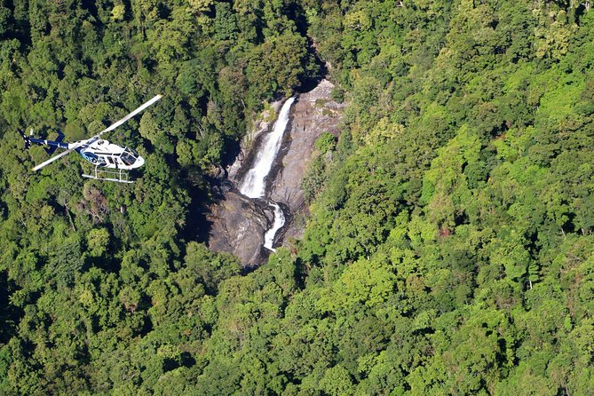 Scenic Reef & Rainforest Helicopter Flight From Port Douglas - thumb 1