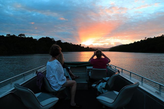 Daintree River Sunset Cruise - thumb 0