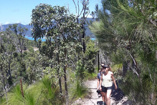 Scenic Guided Walk Up Mt Rooper For Best Whitsunday Views From Airlie Beach - thumb 1