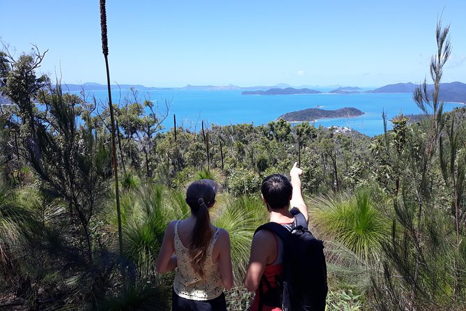 Scenic Guided Walk Up Mt Rooper For Best Whitsunday Views From Airlie Beach - thumb 0
