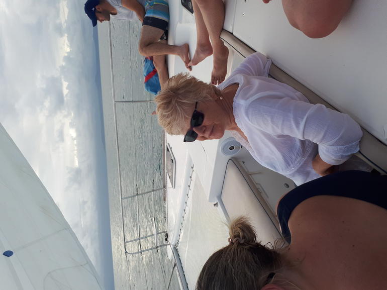 Afternoon Low Isles Snorkeling And Sailing Cruise From Port Douglas - thumb 5