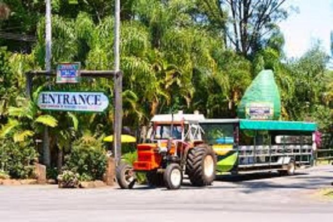 Tropical Fruit World With Wildlife Boat Cruise From Gold Coast - thumb 0