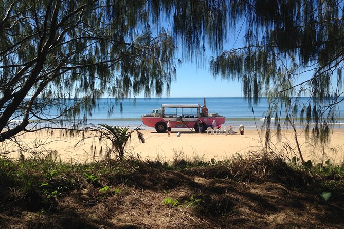 1770 Coastline Tour by LARC Amphibious Vehicle Including Picnic Lunch - Accommodation Main Beach