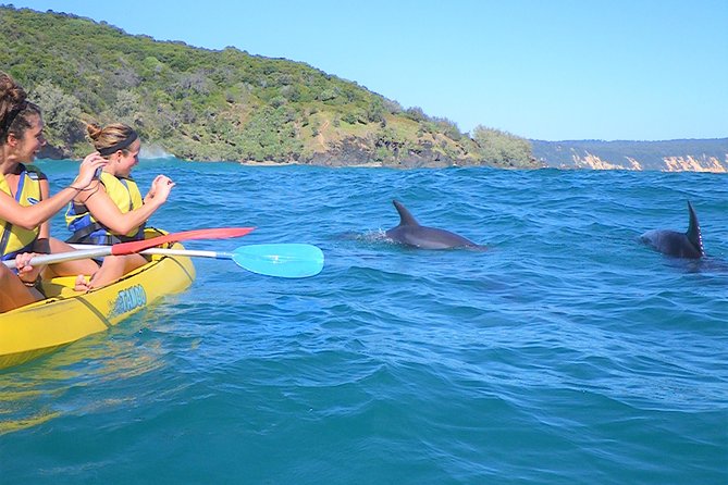 Half-Day Kayak With Dolphins And 4WD Beach Drive From Rainbow Beach - Accommodation ACT 3